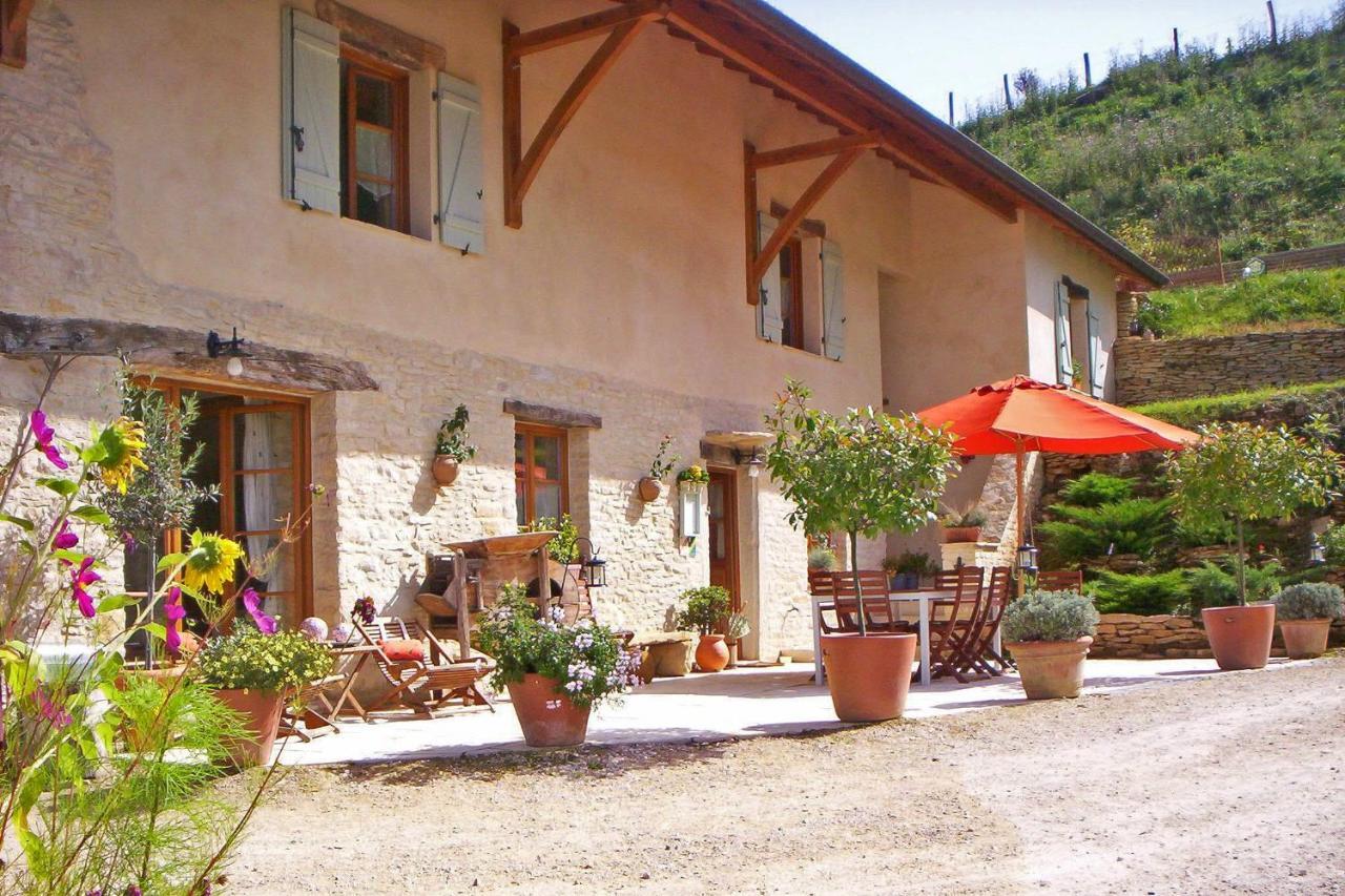 Chambres D'Hotes Soleil Et Cacao Siccieu-Saint-Julien-et-Carisieu Экстерьер фото